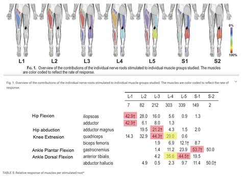 lower extremity spine test results